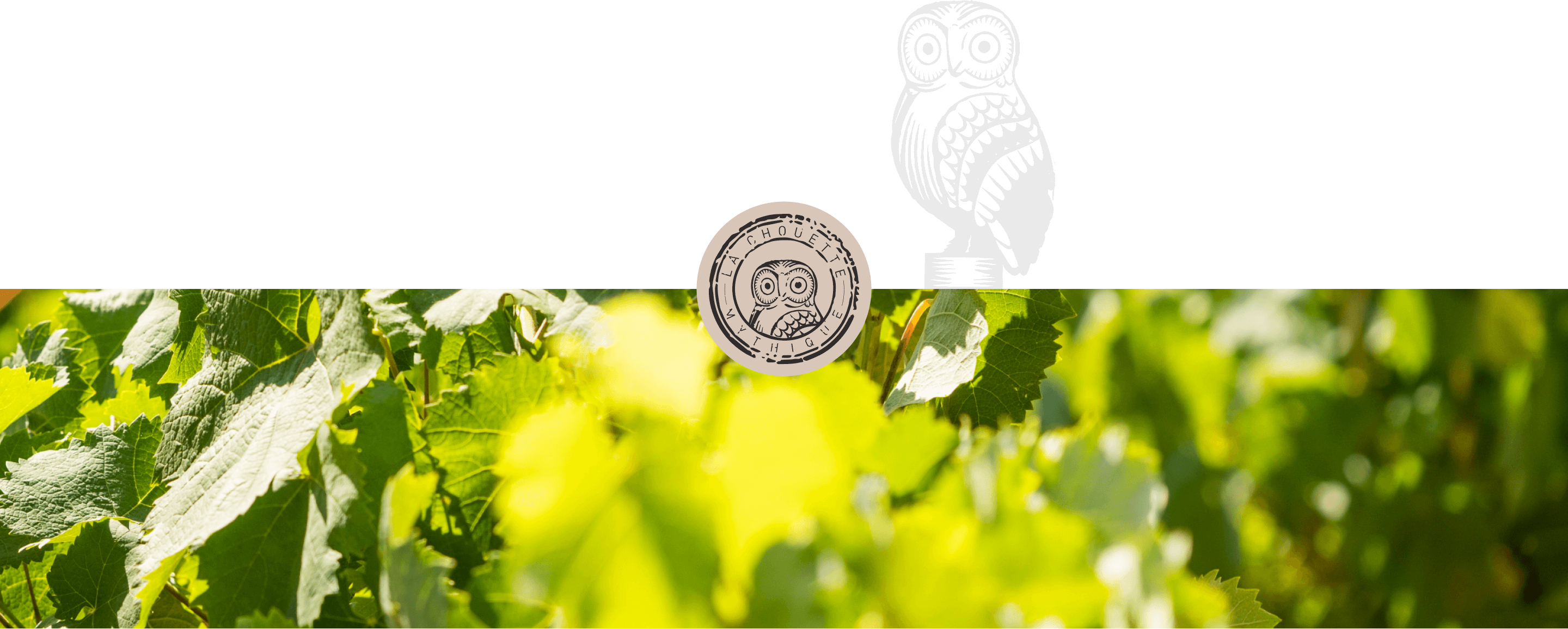 M Languedoc - Mythique