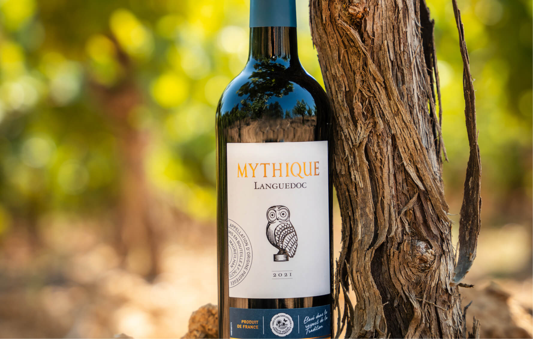 La Sentinelle - Mythique